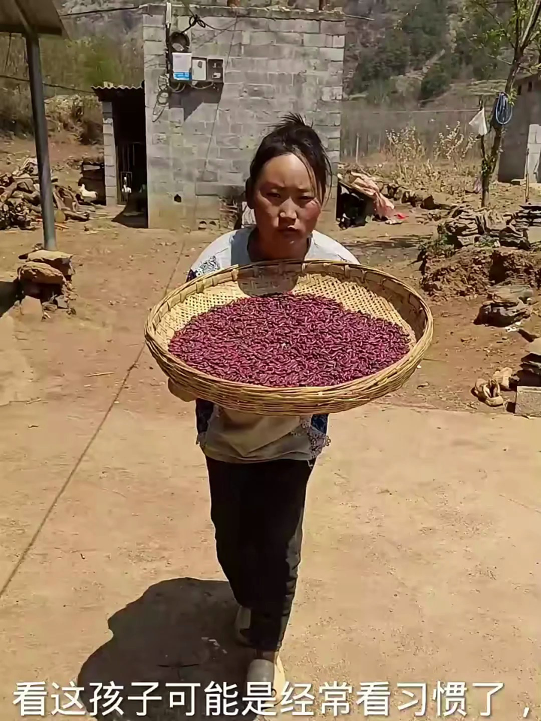 捡红豆煮猪头肉肥而不腻特别香 砍玉米一起酸菜煮酸汤太下饭