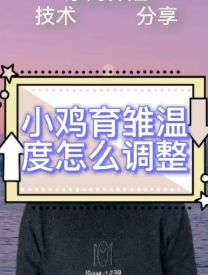 鸡育雏温度怎么调整 鸡育雏技术要点 育小鸡苗温度多少合适