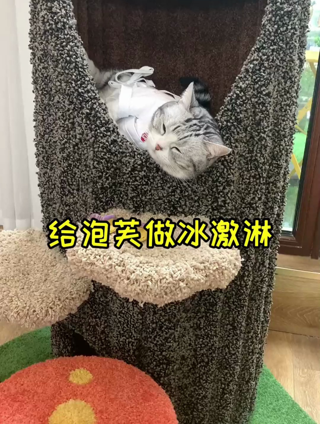 给芙芙做冰淇淋 好吃到爆