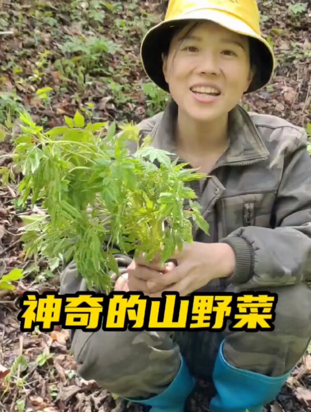 一种神奇的山野菜,闻着没有味道,但是过水后就会有杏仁味
