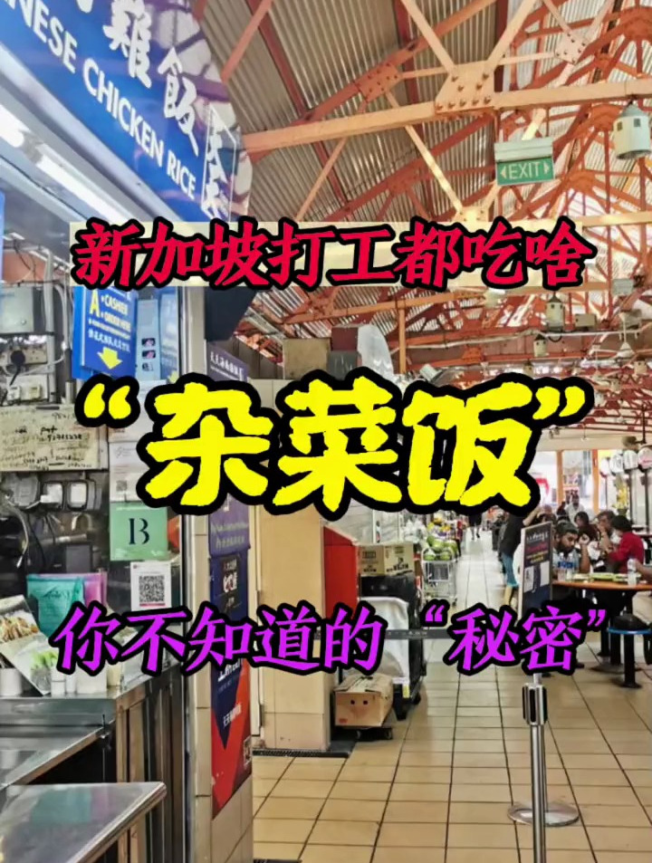 在新加坡打工,杂菜饭占了你一日三餐的多少