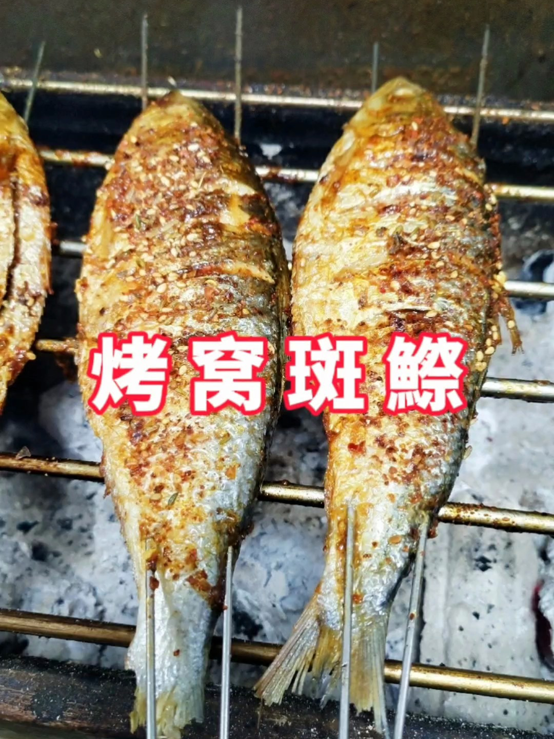 烤窝斑鰶,一般人没吃过这种鱼