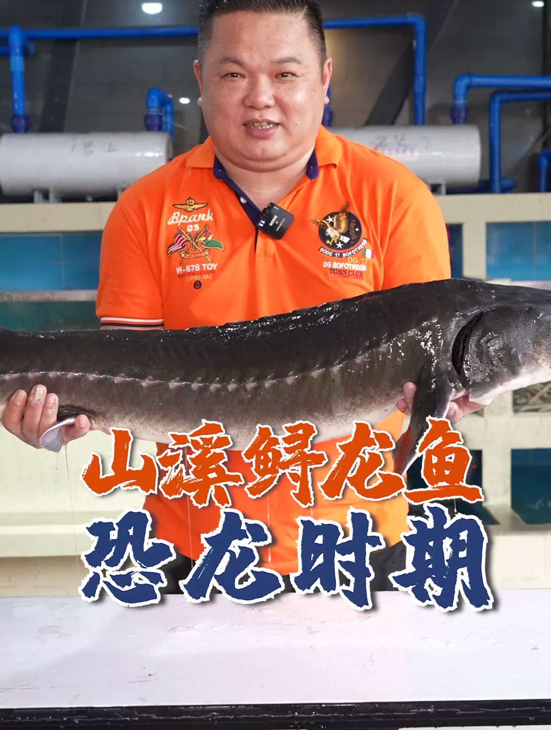 恐龙时代的鱼?山溪鲟龙鱼,一条能有200多斤