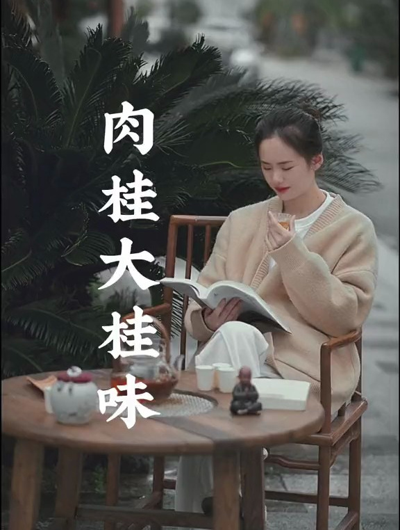 茶与文化,武夷岩茶大桂味的肉桂你喝过吗