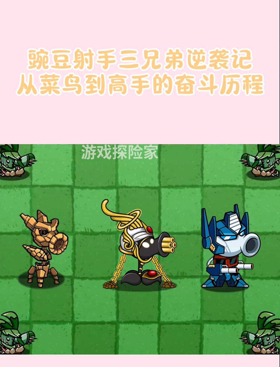 豌豆射手三兄弟逆袭记,从菜鸟到高手的奋斗历程