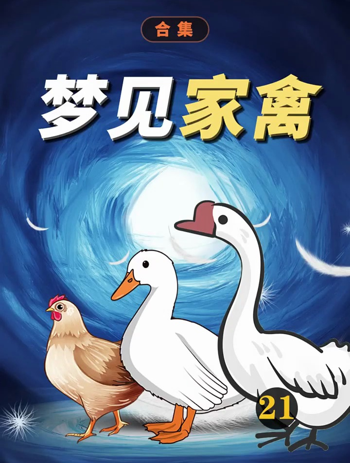 做梦梦见鸡鸭鹅「家禽」有什么寓意?有什么预示?周公解梦