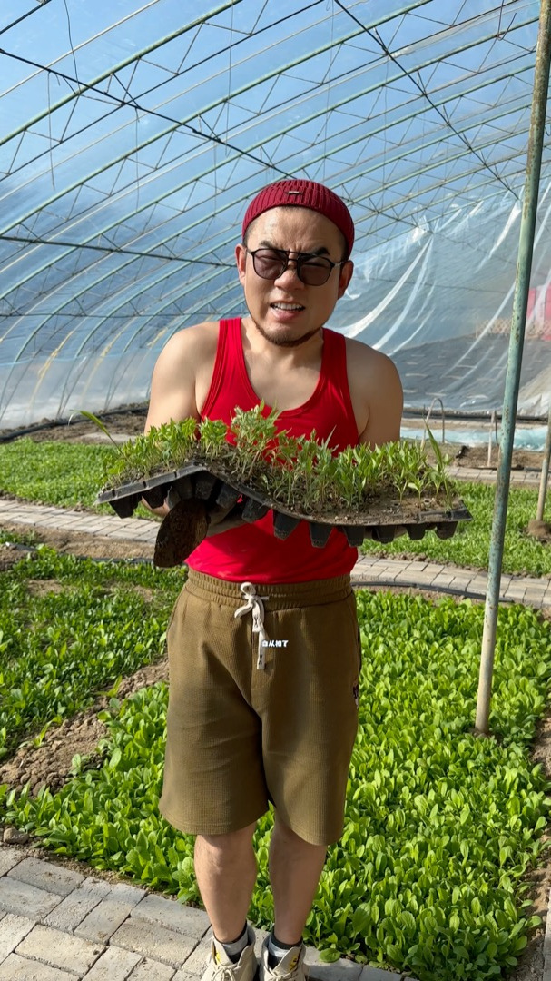 自从有个大棚,直接变成了朋友免费的菜市场,还直接支起了火锅!