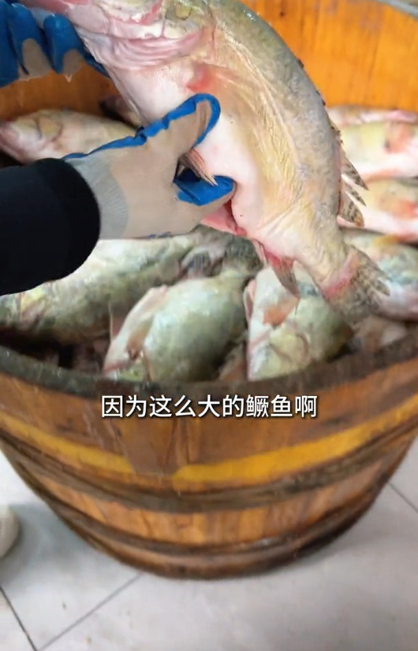 都说安徽黄山的臭鳜鱼好吃,但哪里才能买到正宗的呢,快来看看吧