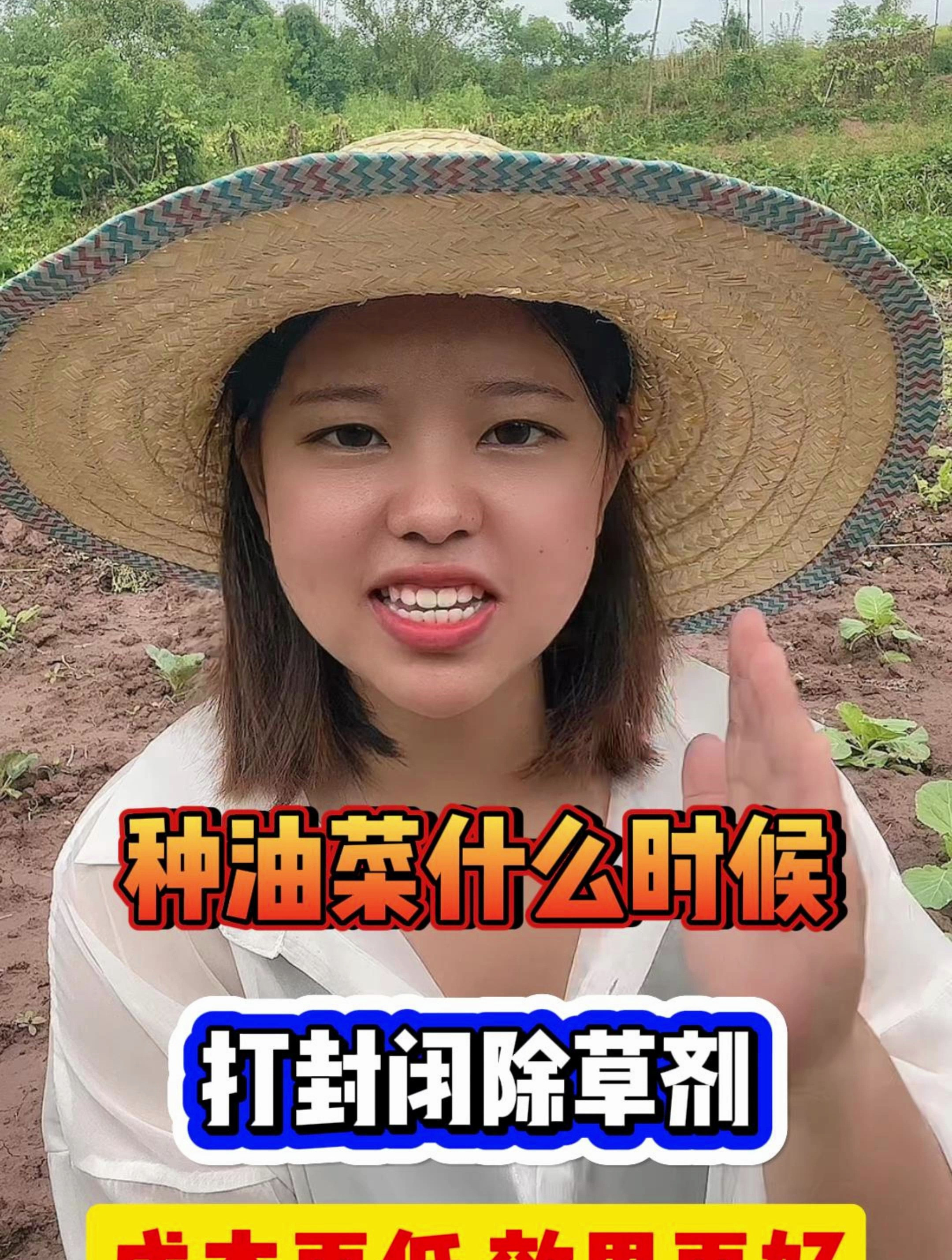 种油菜什么时候打封闭除草剂,成本更低效果更好