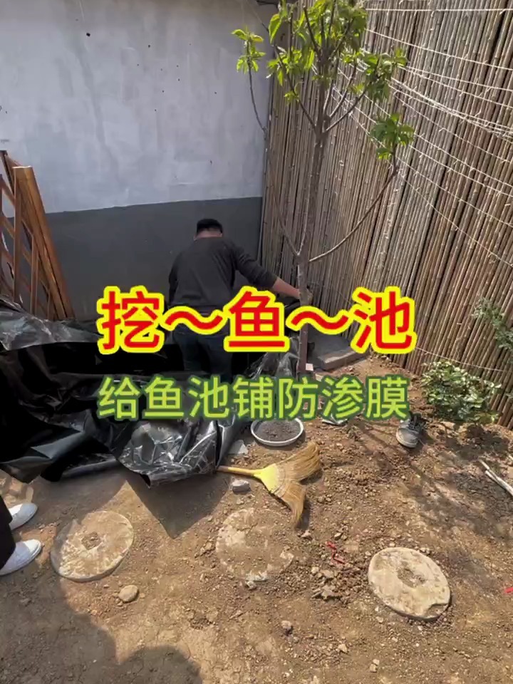 小院改造,给挖好的鱼池铺上防渗膜,自己动手挖鱼池!