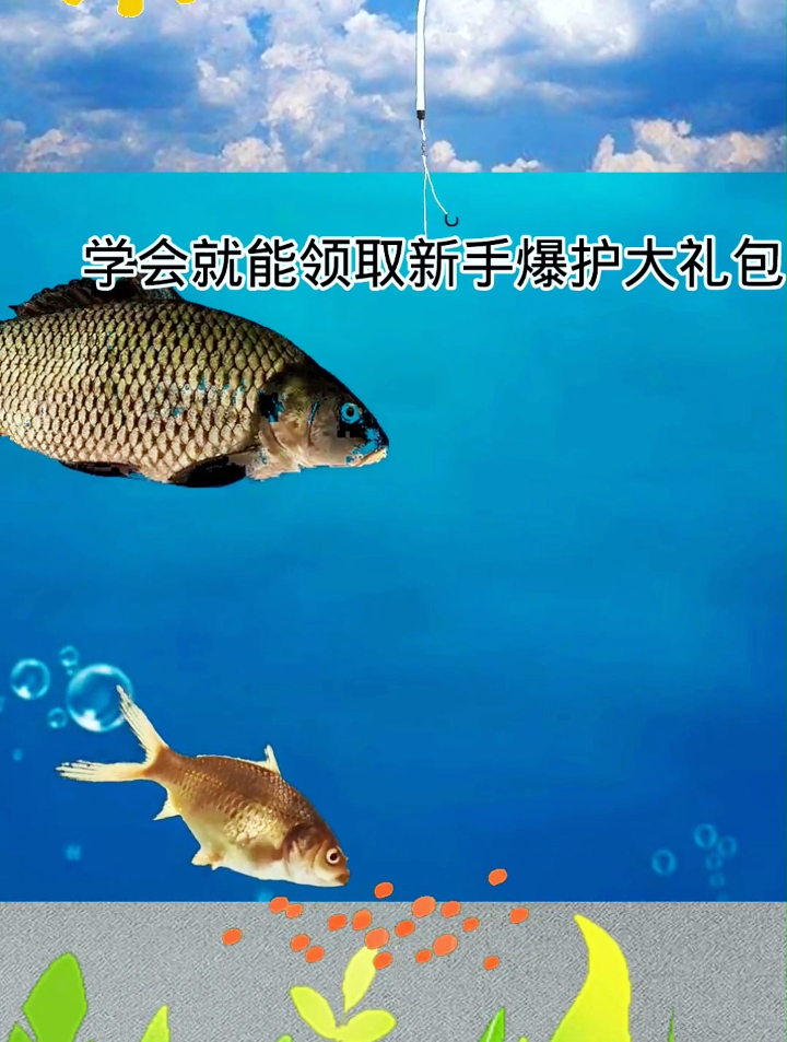 夏季钓鱼,新手想要爆护并不难,别不信,看完这个钓鱼调漂方法!
