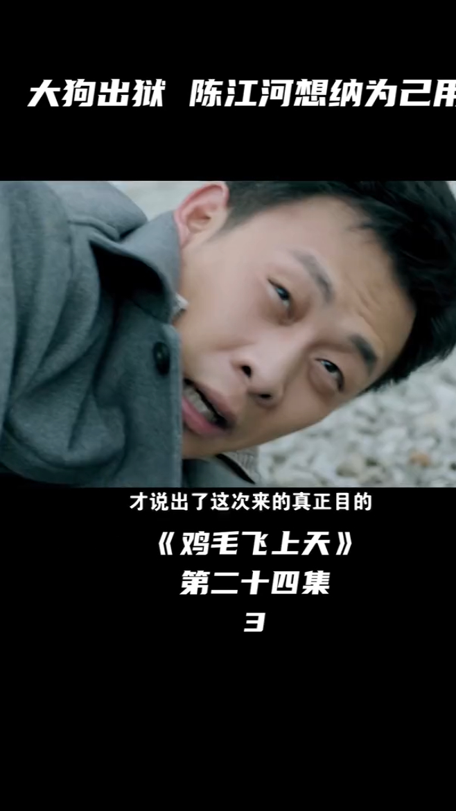 鸡毛飞上天 大狗出狱 陈江河想纳为己用