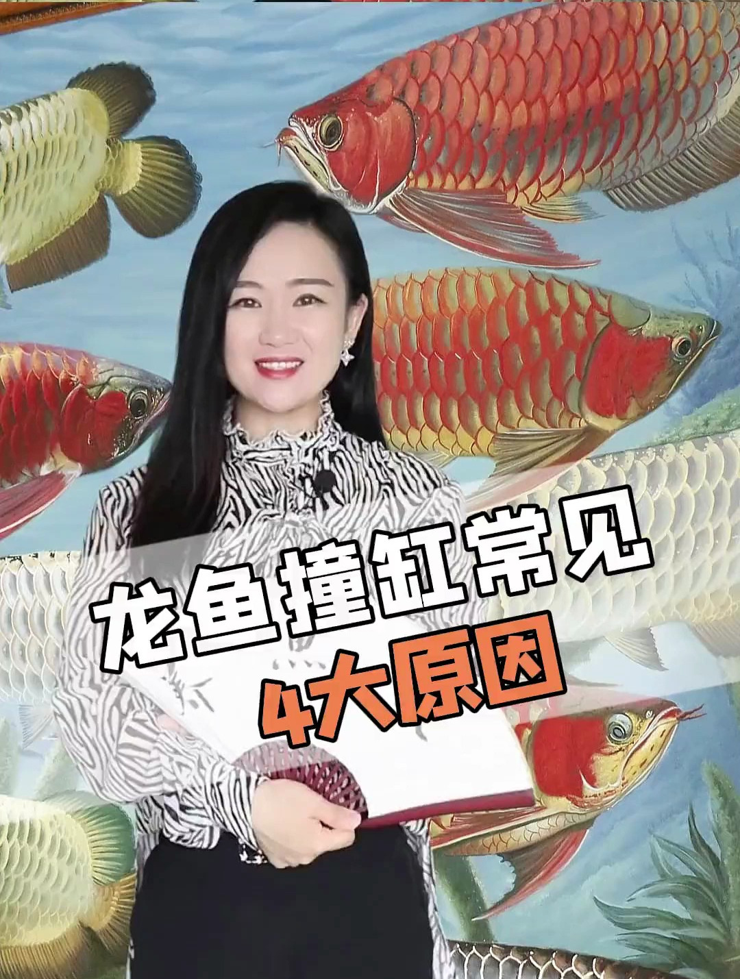 龙鱼撞缸常见4大原因 龙鱼