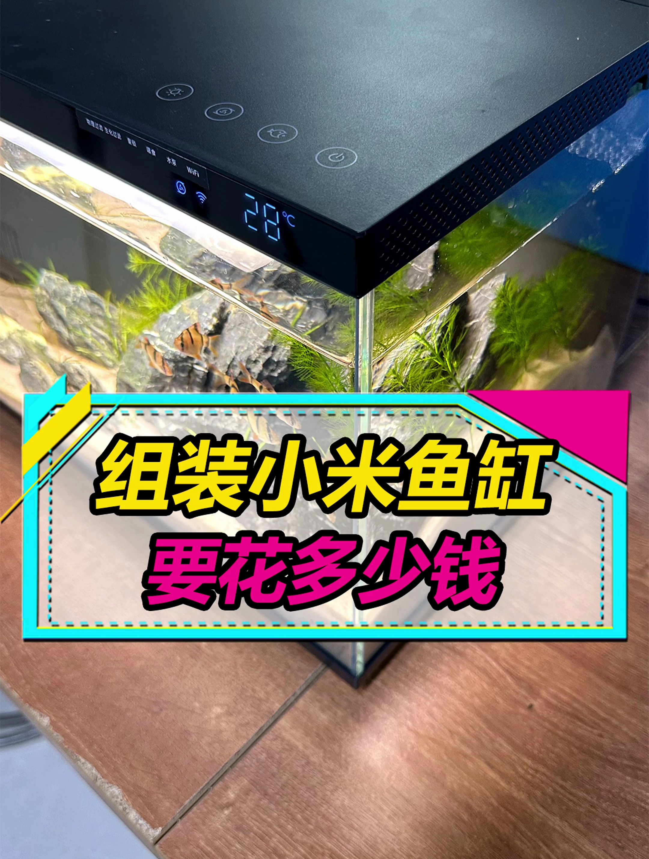 小米鱼缸值不值得买?把小米鱼缸拆开算算价钱!