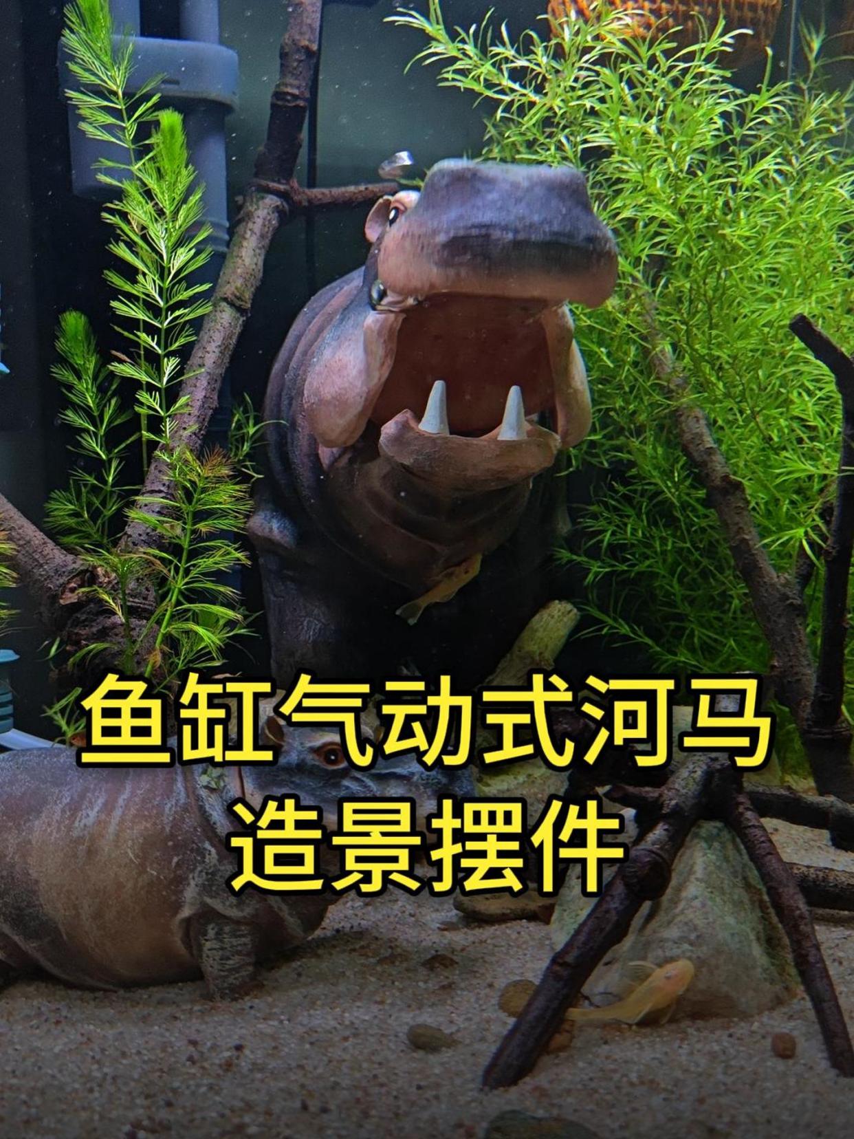 造景玩出新花样:鱼缸气动河马造景摆件