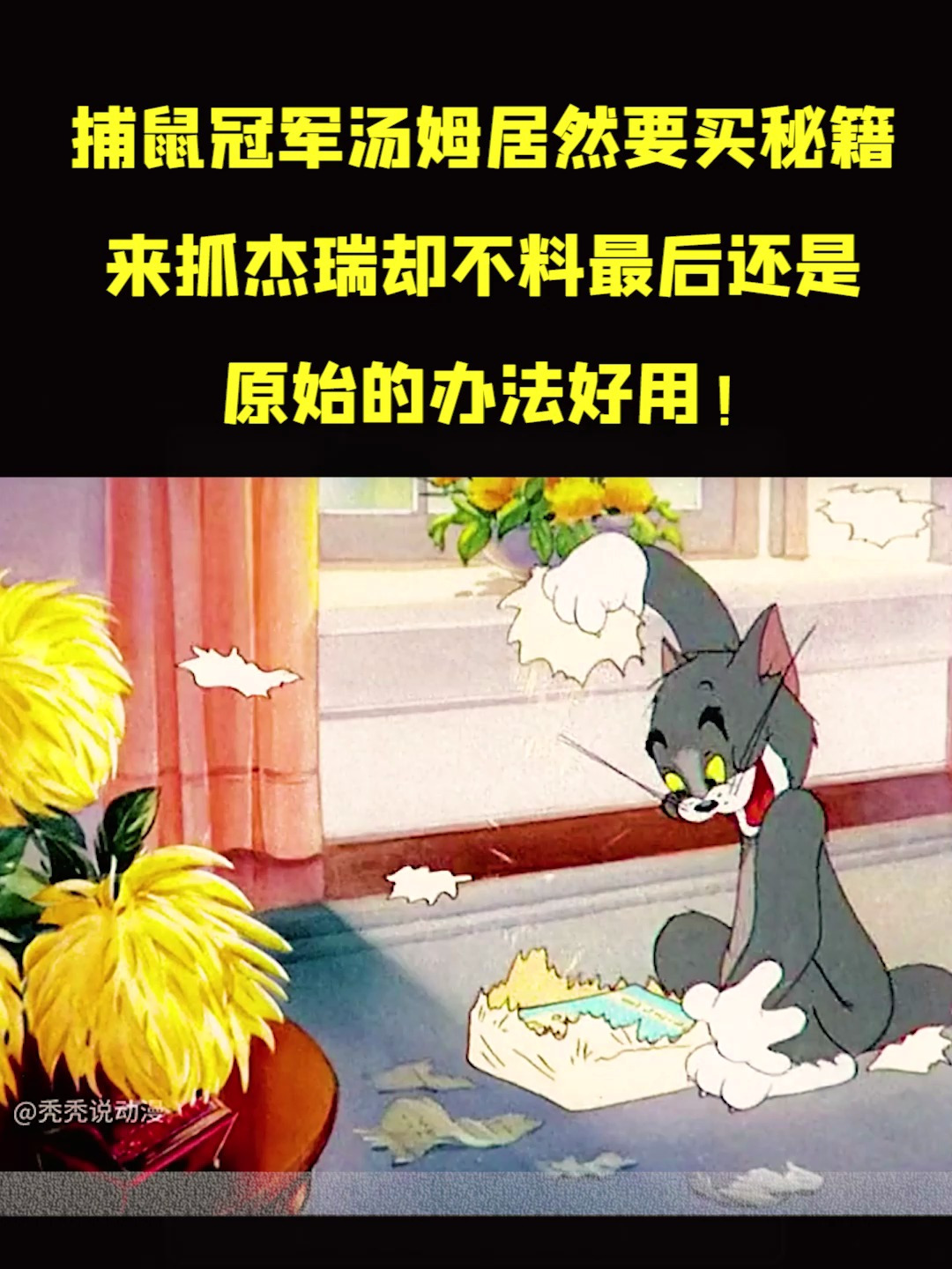 捕鼠冠军汤姆居然要买秘籍来抓杰瑞却不料最后还是原始的办法好用