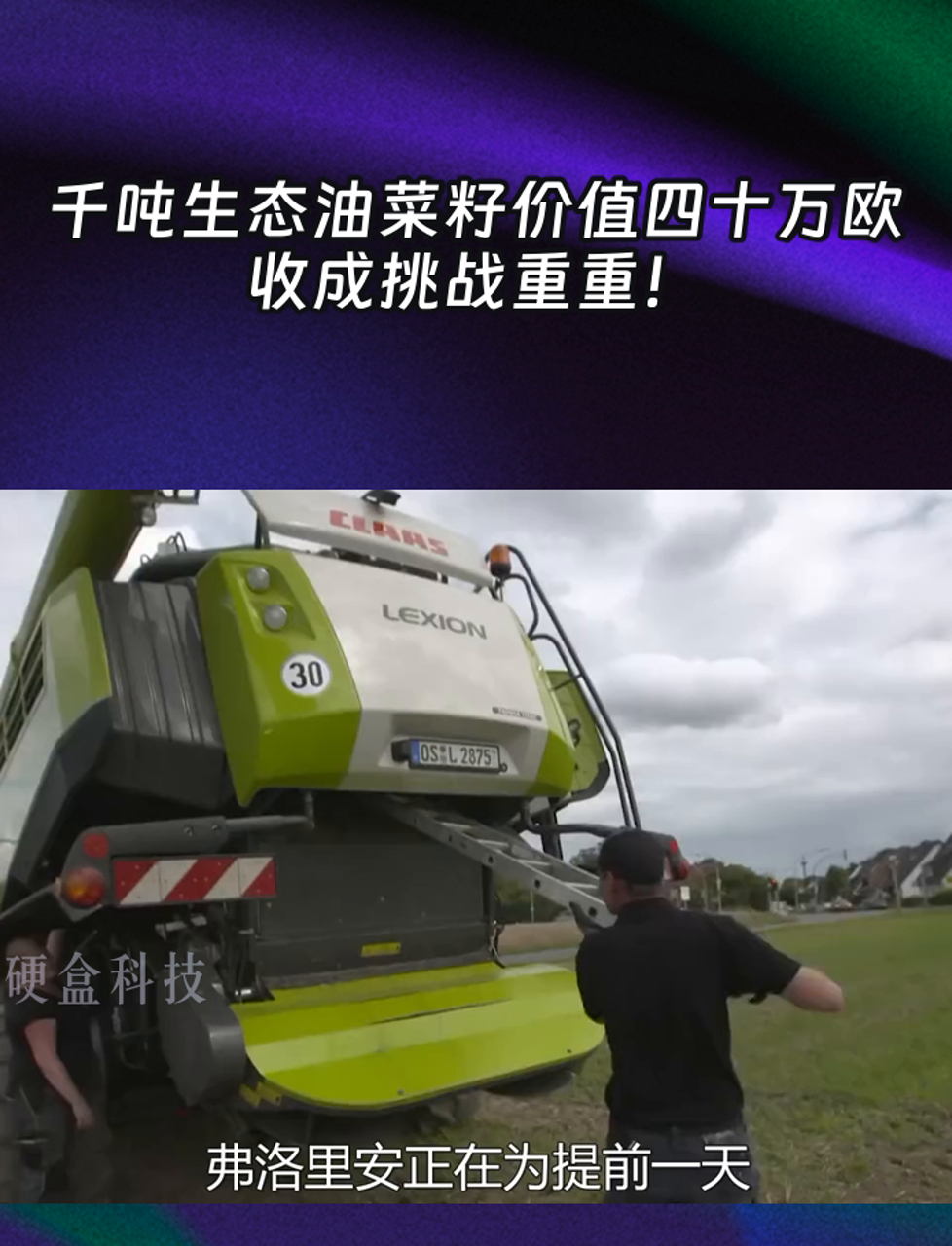 千吨生态油菜籽价值四十万欧,收成挑战重重!