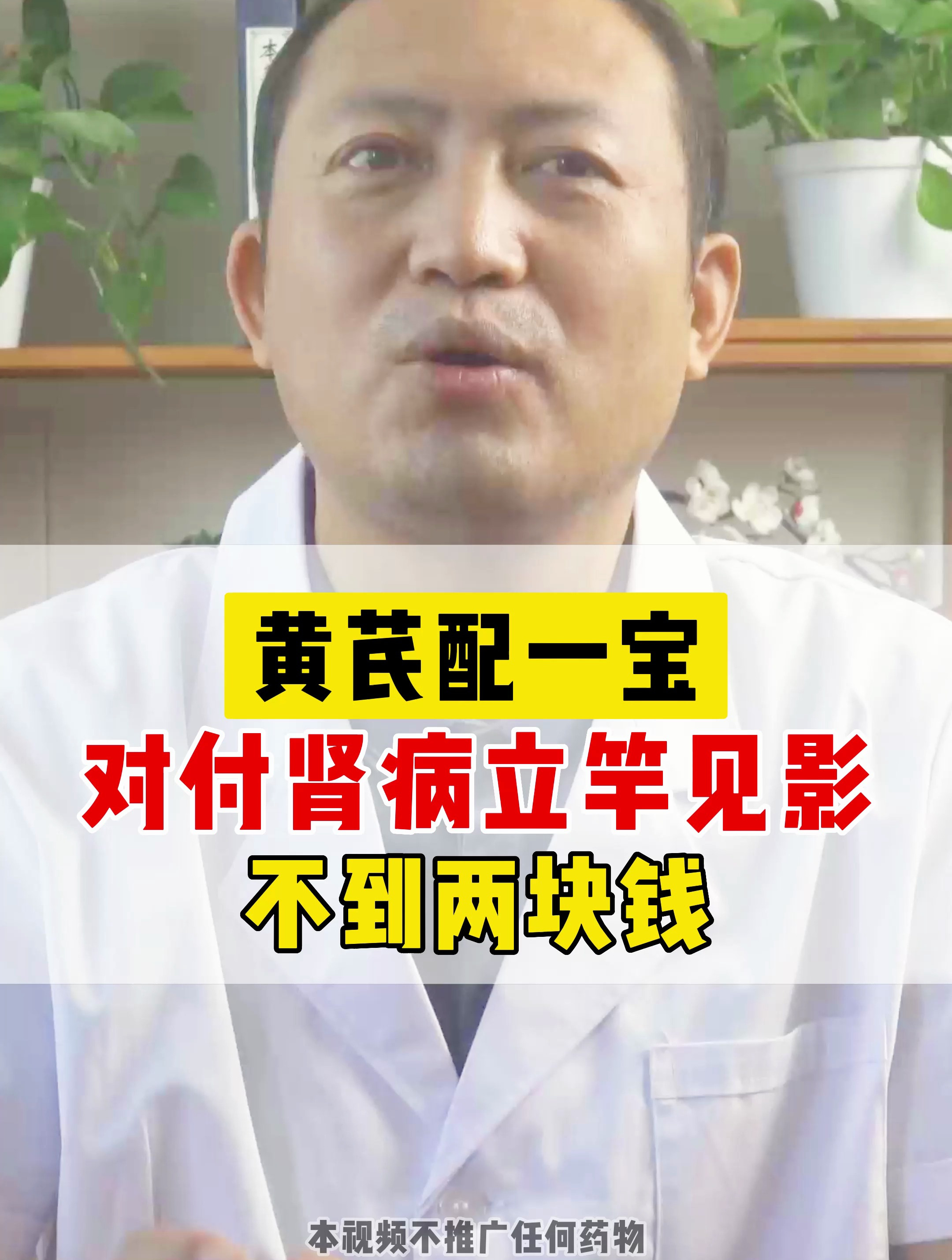 黄芪配一宝,对付肾病立竿见影,不到两块钱