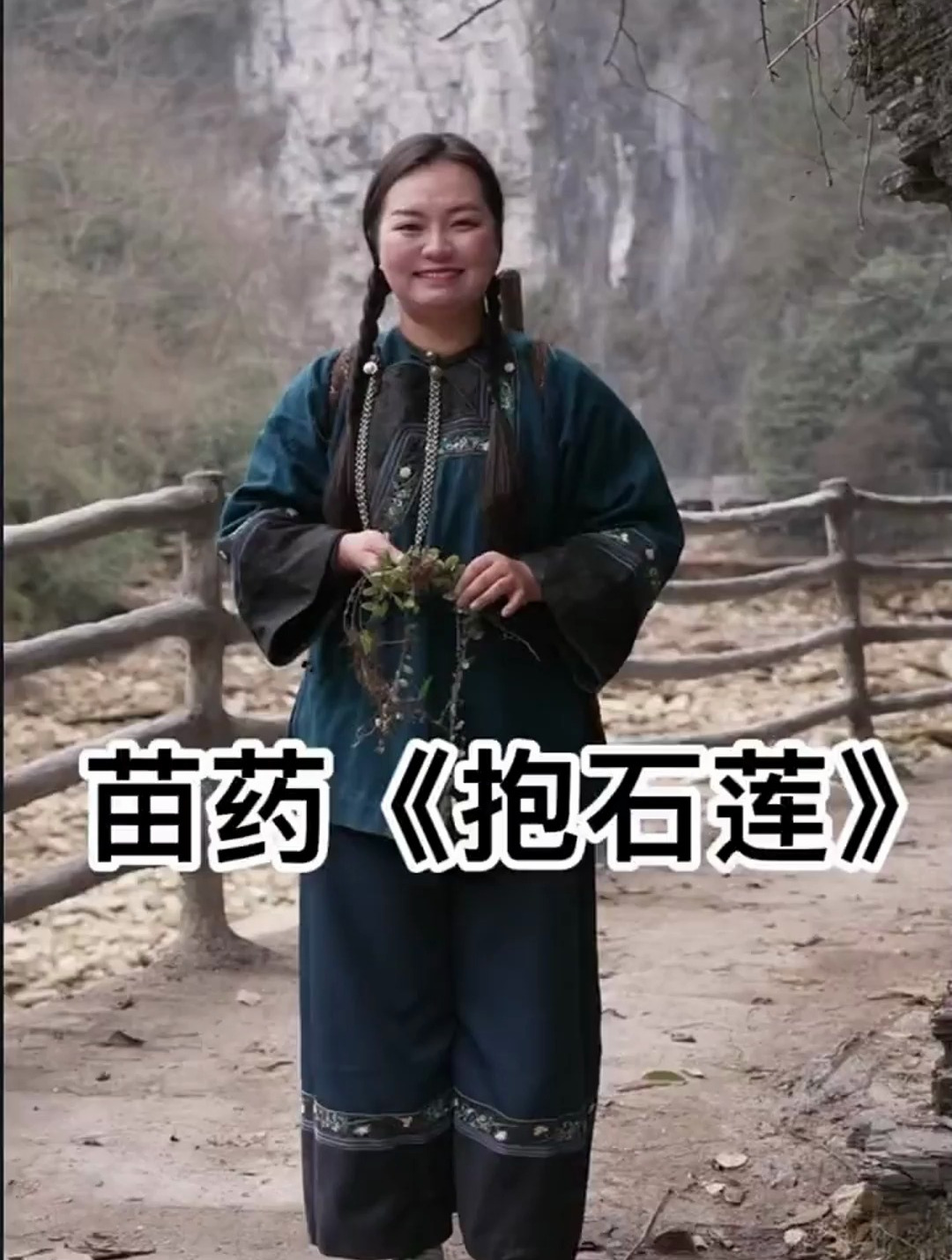 这种植物长在石头上面抱着。叫抱石莲 花花草草