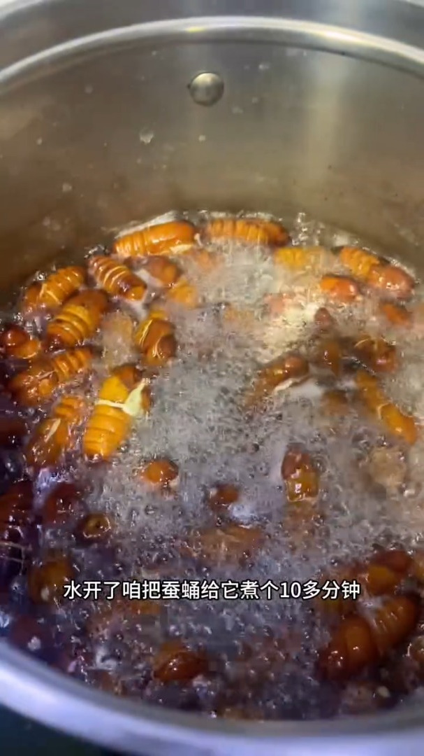 东北年夜饭特别受欢迎的「炒蚕蛹」