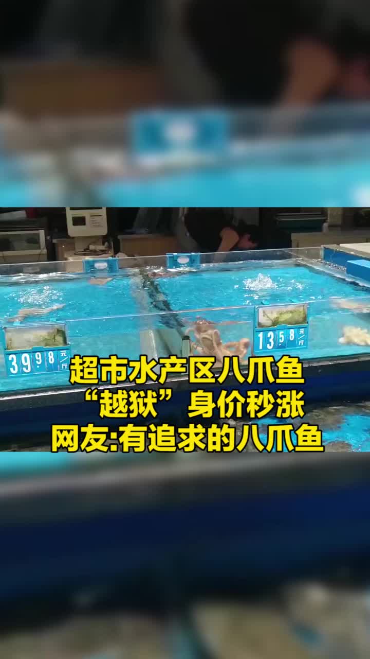 江苏连云港 八爪鱼越狱后身价大涨,网友:太励志了!这是一只有追求的八爪鱼