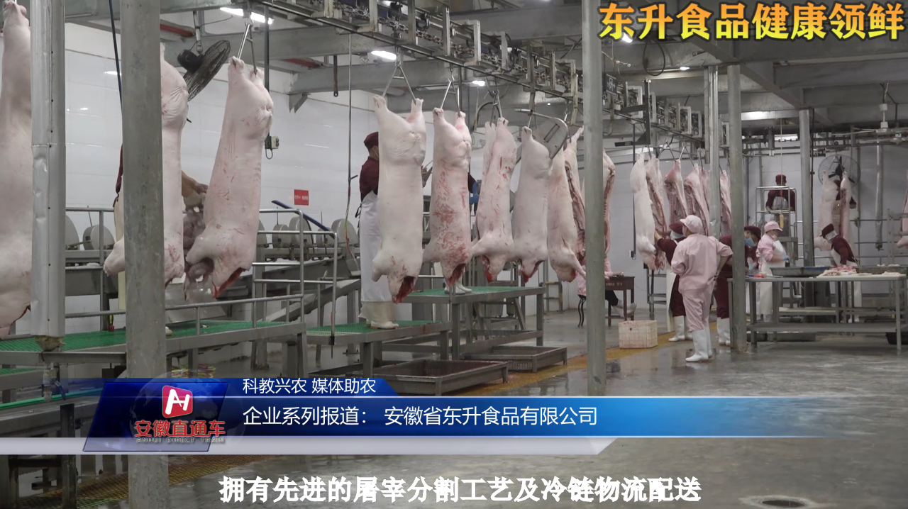 安徽电视台《安徽直通车》报道——安徽省东升食品有限公司