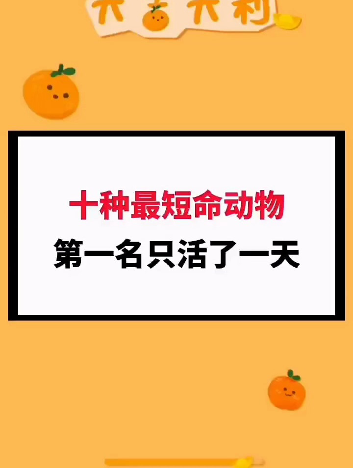 世界上寿命最短的动物