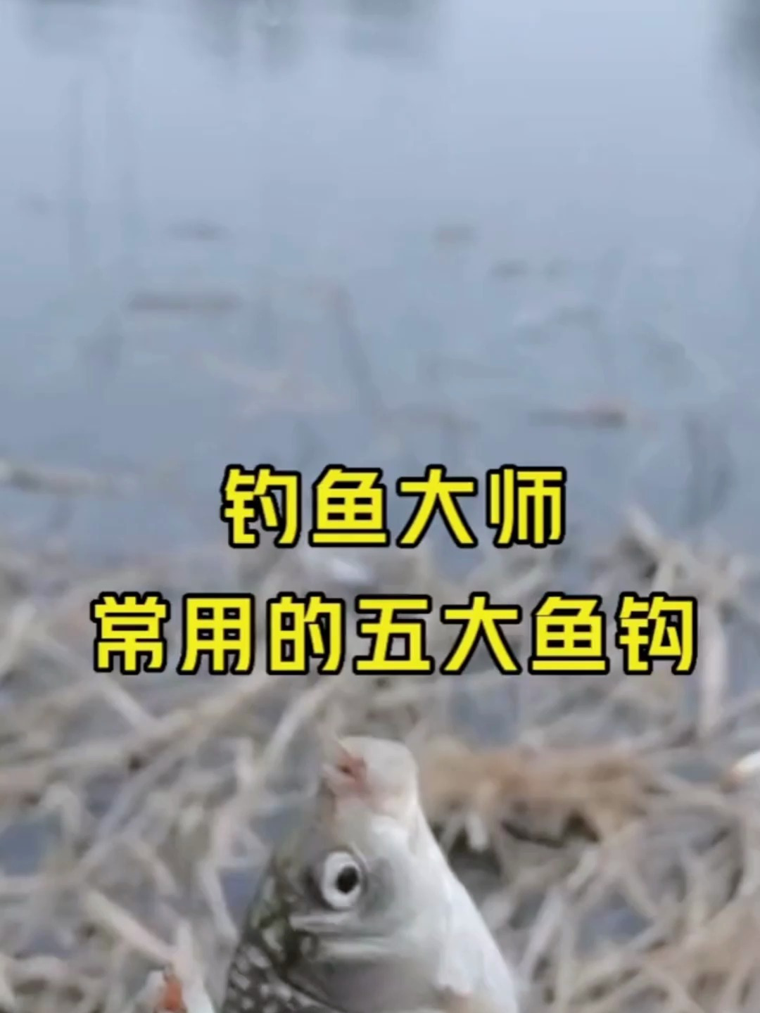 钓鱼大师常用的鱼钩?用了就能帮你远离空军!