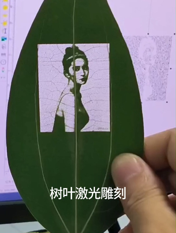 天呐!激光雕刻树叶照片!?