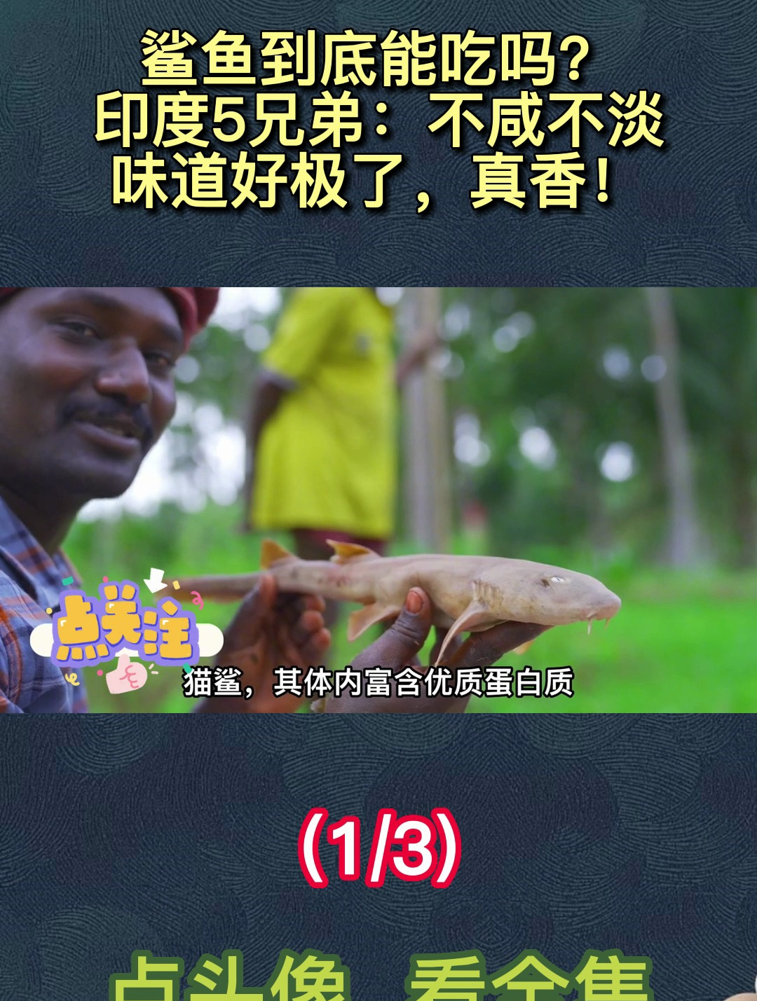 鲨鱼到底能吃吗?印度5兄弟:不咸不淡,味道好极了,真香!