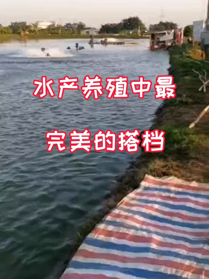 水产养殖中最完美的搭档你知道吗?水产养殖 鱼虾蟹养殖
