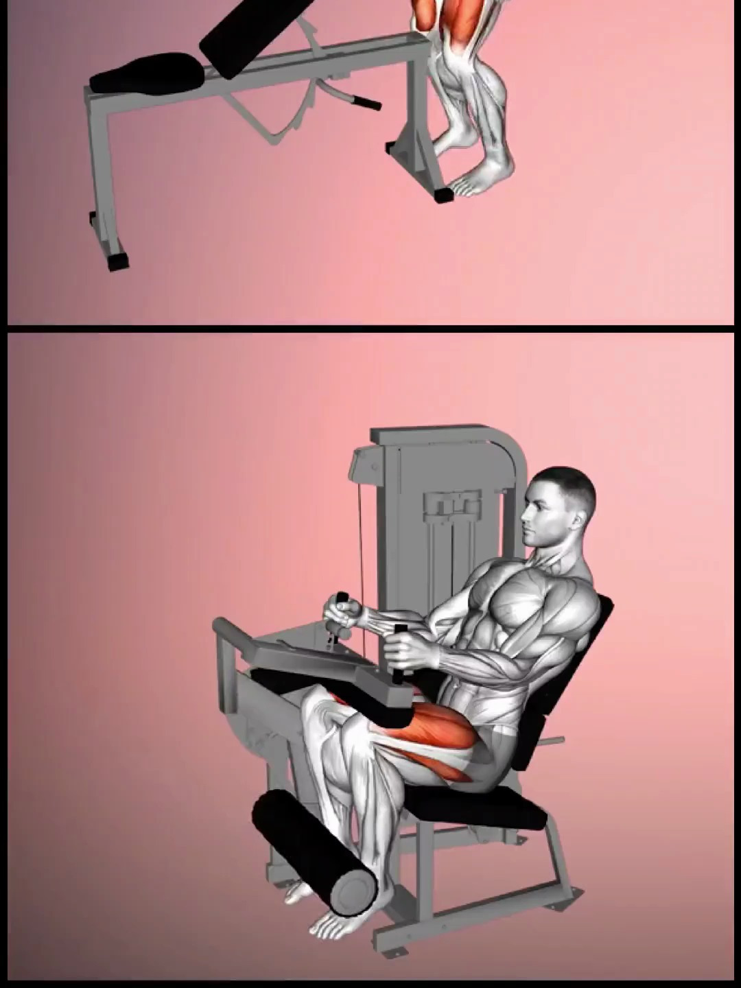 健身入门必备书籍,力量肌肉训练彩色图谱 健身