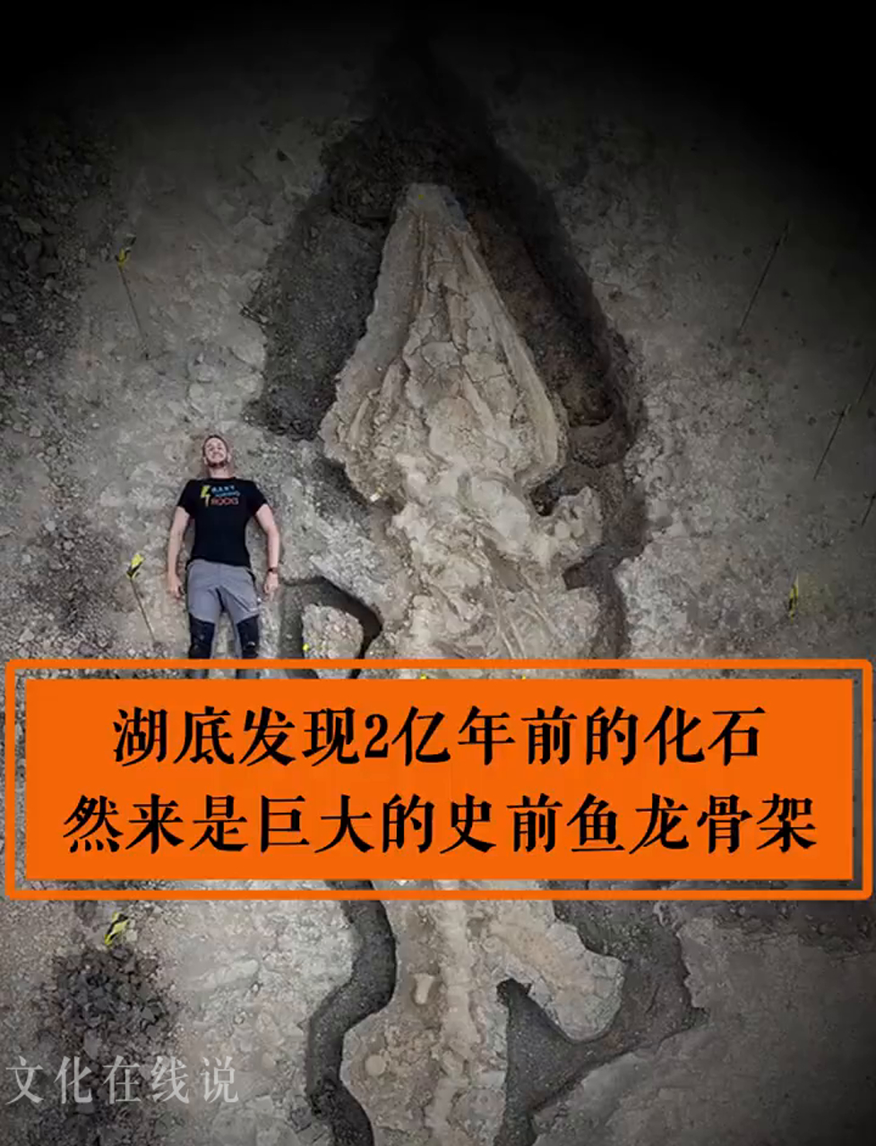 英国水下惊现两亿年老古董,原来是巨型史前鱼龙的骨头架子