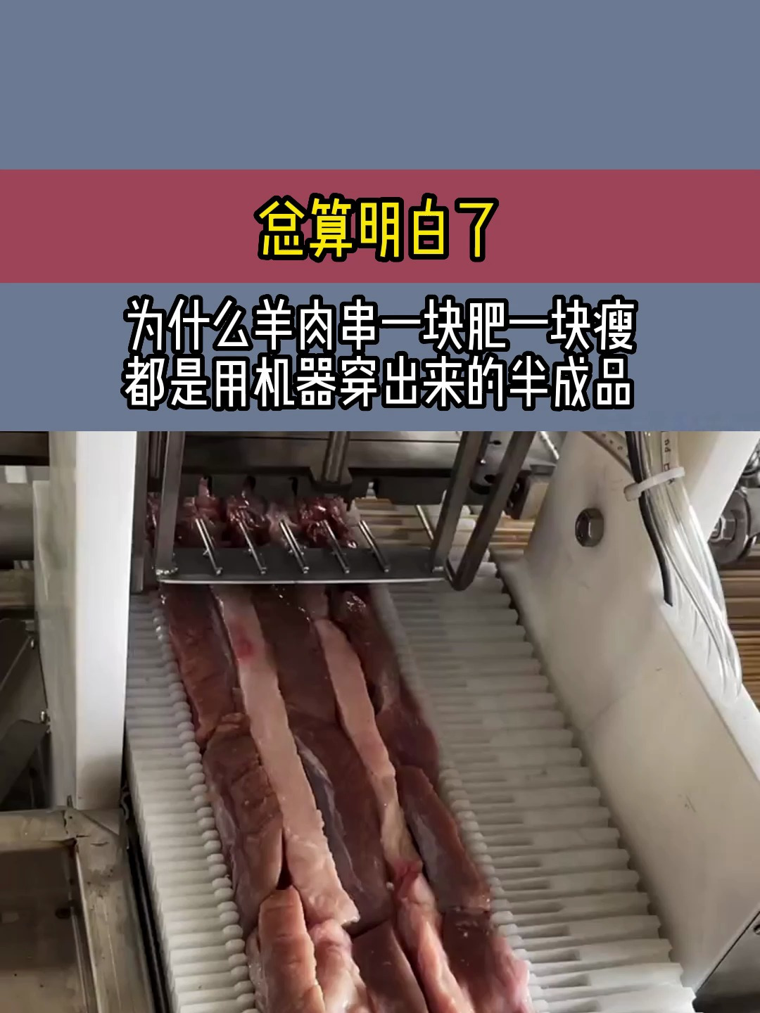 总算明白,为什么羊肉串一块肥一块瘦,都是用机器穿出来的半成品