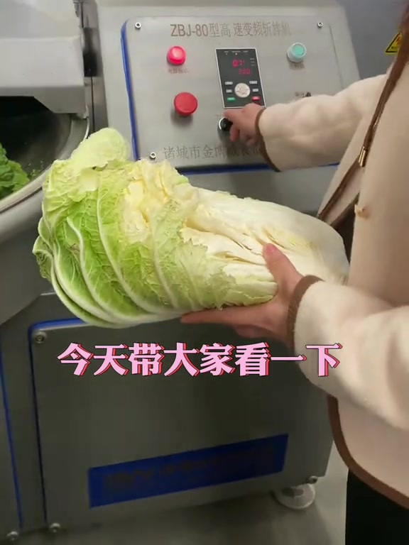 全自动80白菜用高速变频斩拌机斩拌白菜试机效果