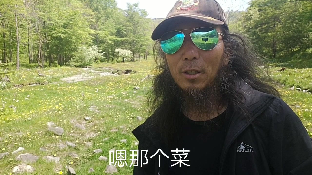 今天走了最远的路,爬了最高的山,了最好的水蕨菜