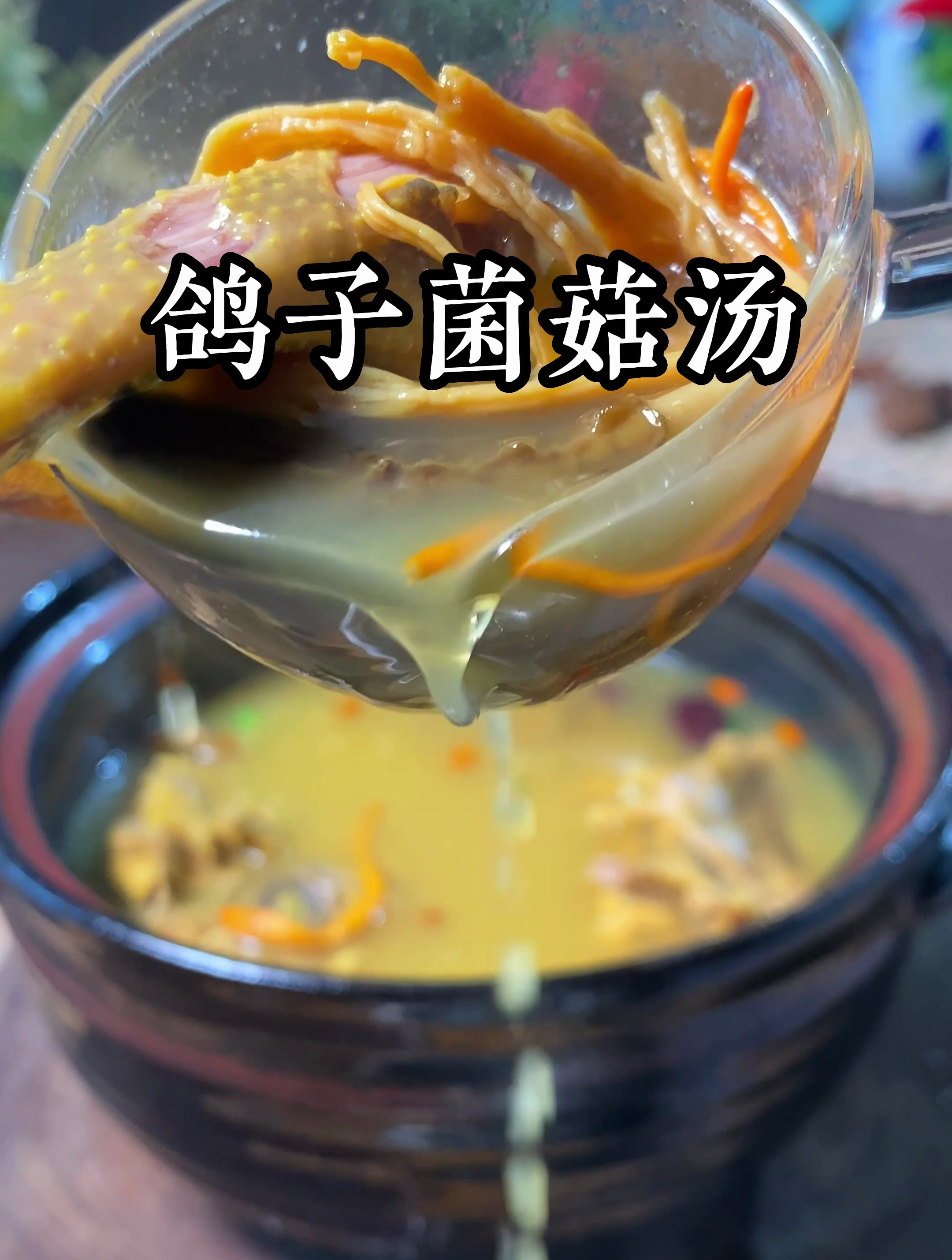 鸽子和菌菇一起炖汤可不能多喝哦太补
