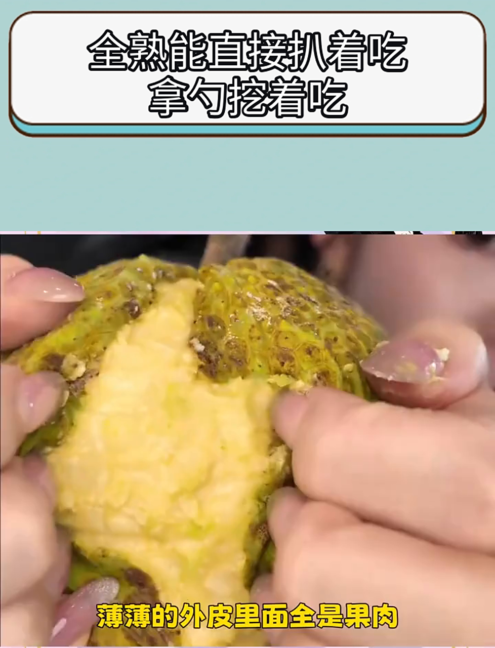 树上结奶酪了?!传闻中的面包果