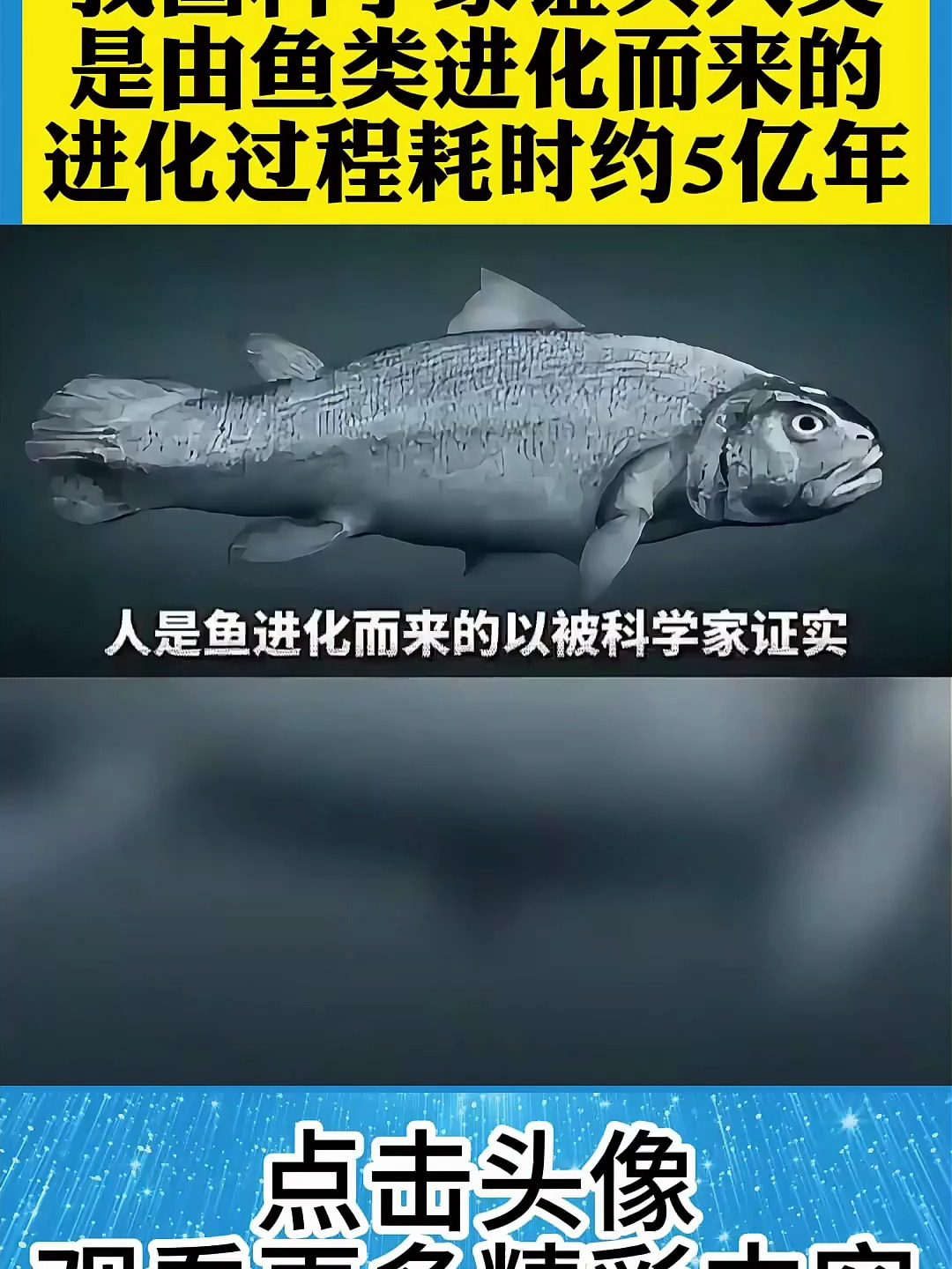 我国科学家证实,人类是由鱼类进化而来的,进化过程耗时约5亿年