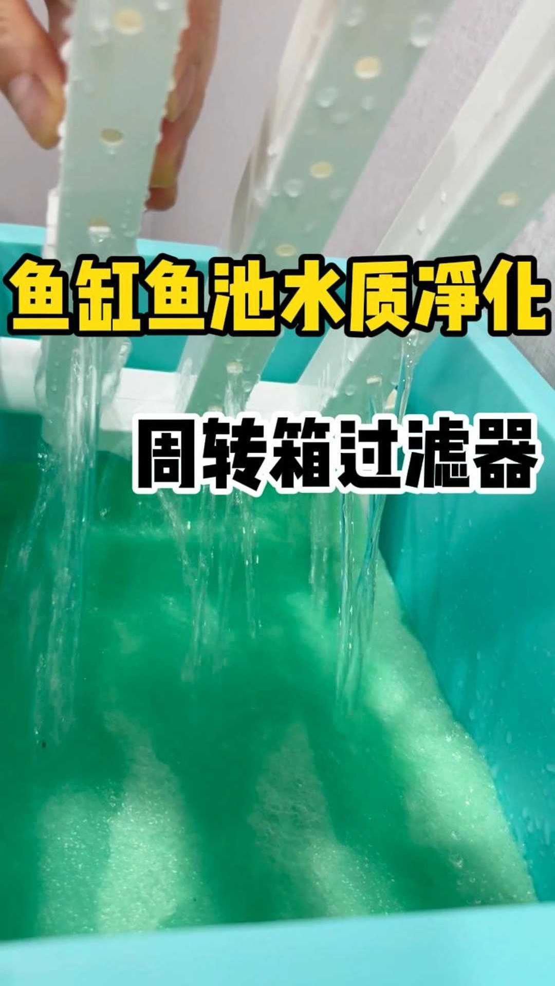 鱼缸鱼池水质净化周转箱过滤器