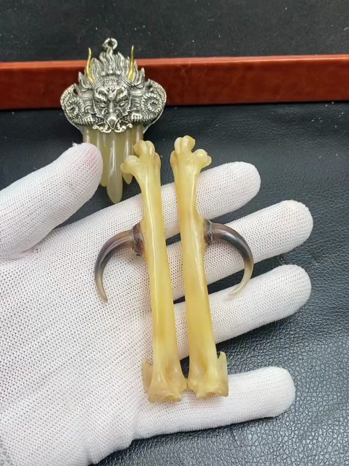 鹰勾嘴鸡蹬子,百年难遇