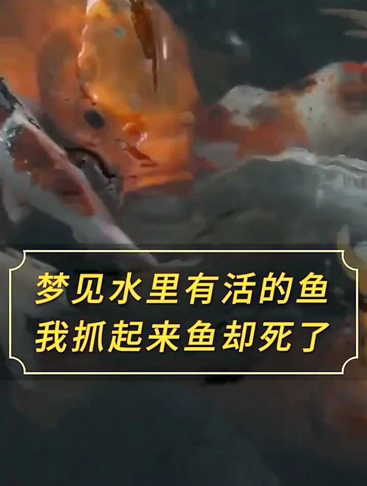 梦见水里有活的鱼我抓起来鱼却死了,意味着什么?