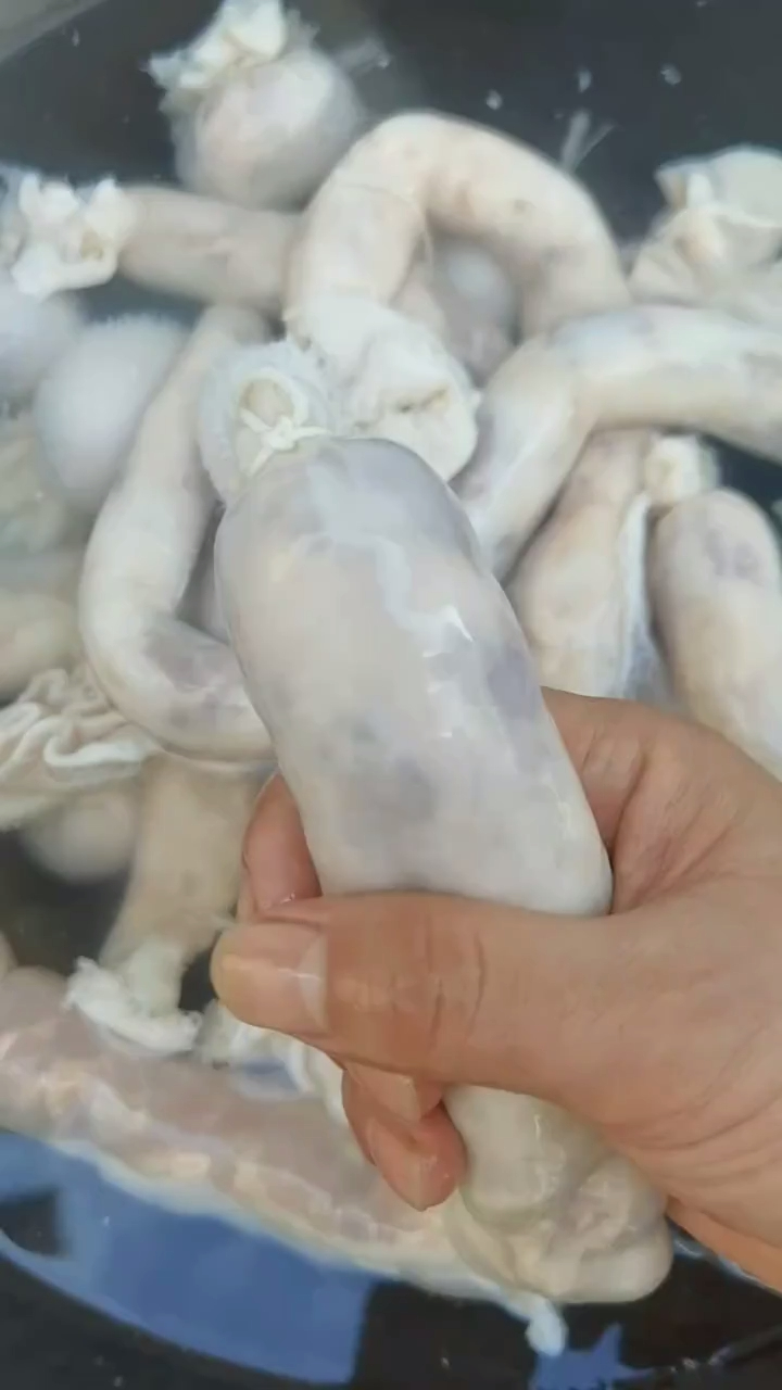 好吃的羊肉在哪里?来内蒙啊!没吃过内蒙的羊肚包肉,别说来过内蒙