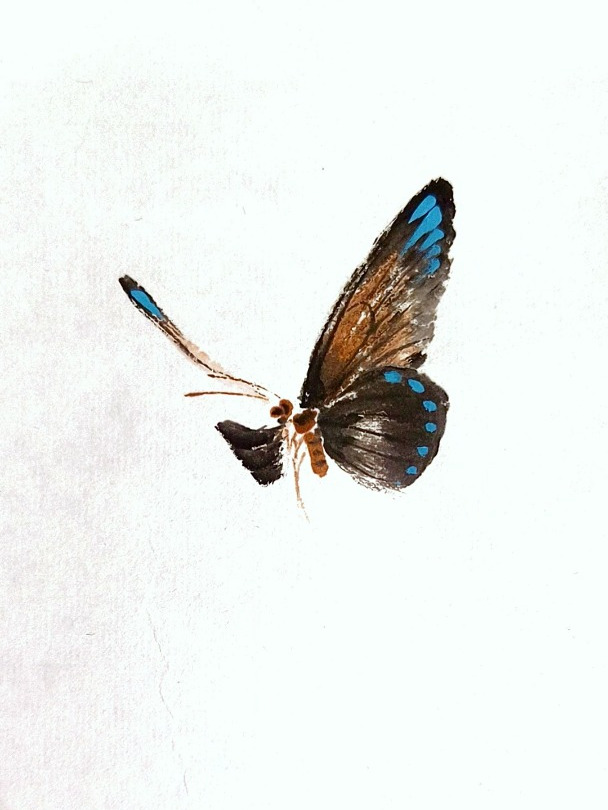 中国画写意蝴蝶画法