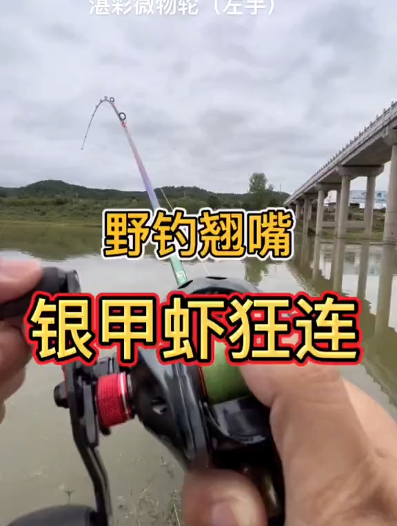 7克铁板助投器搭配10号银甲虾差点又爆扣了