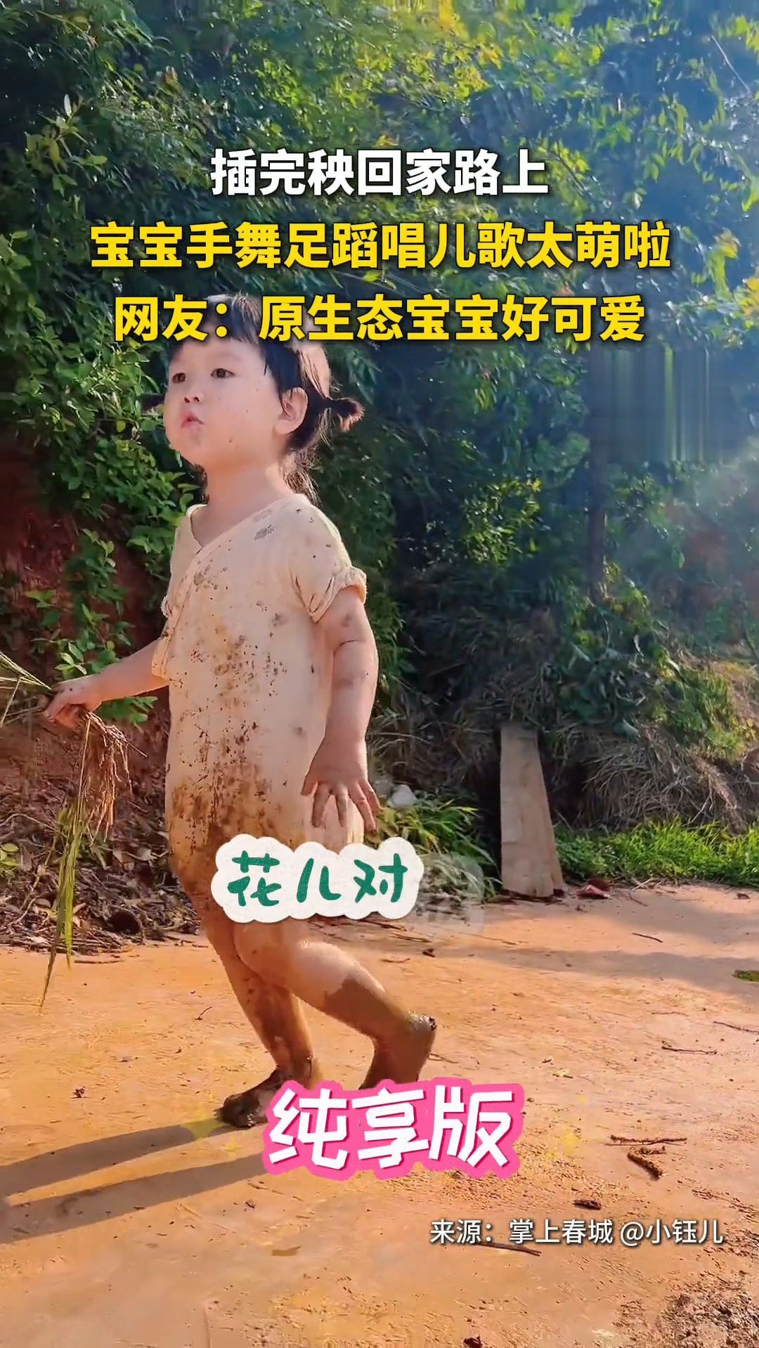 宝宝插秧回家路上手舞足蹈唱儿歌