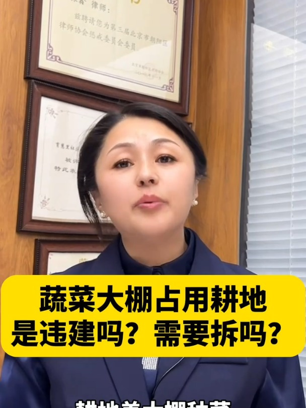 蔬菜大棚占用耕地是违建吗?需要拆吗?