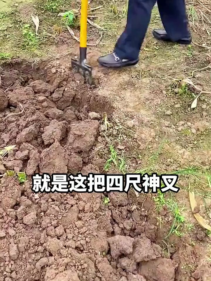 翻地钢叉农用松土神器,工具挖地红薯土豆