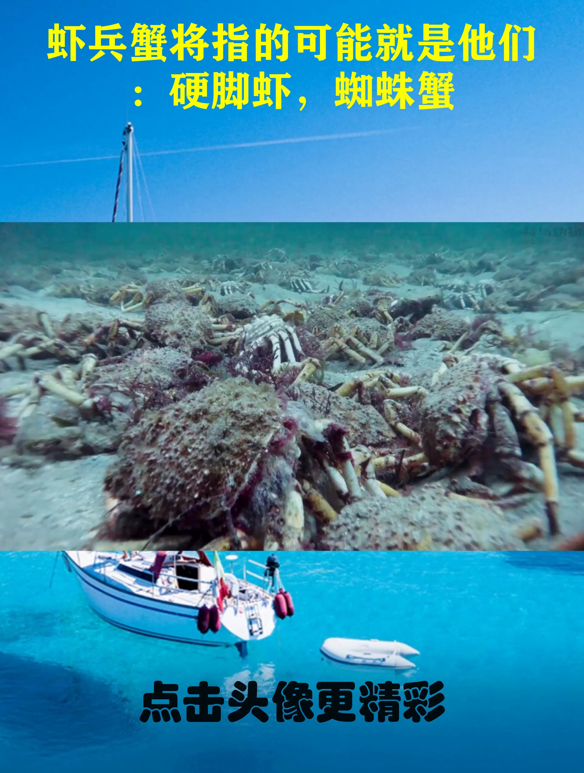 虾兵蟹将指的可能就是他们:硬脚虾,蜘蛛蟹