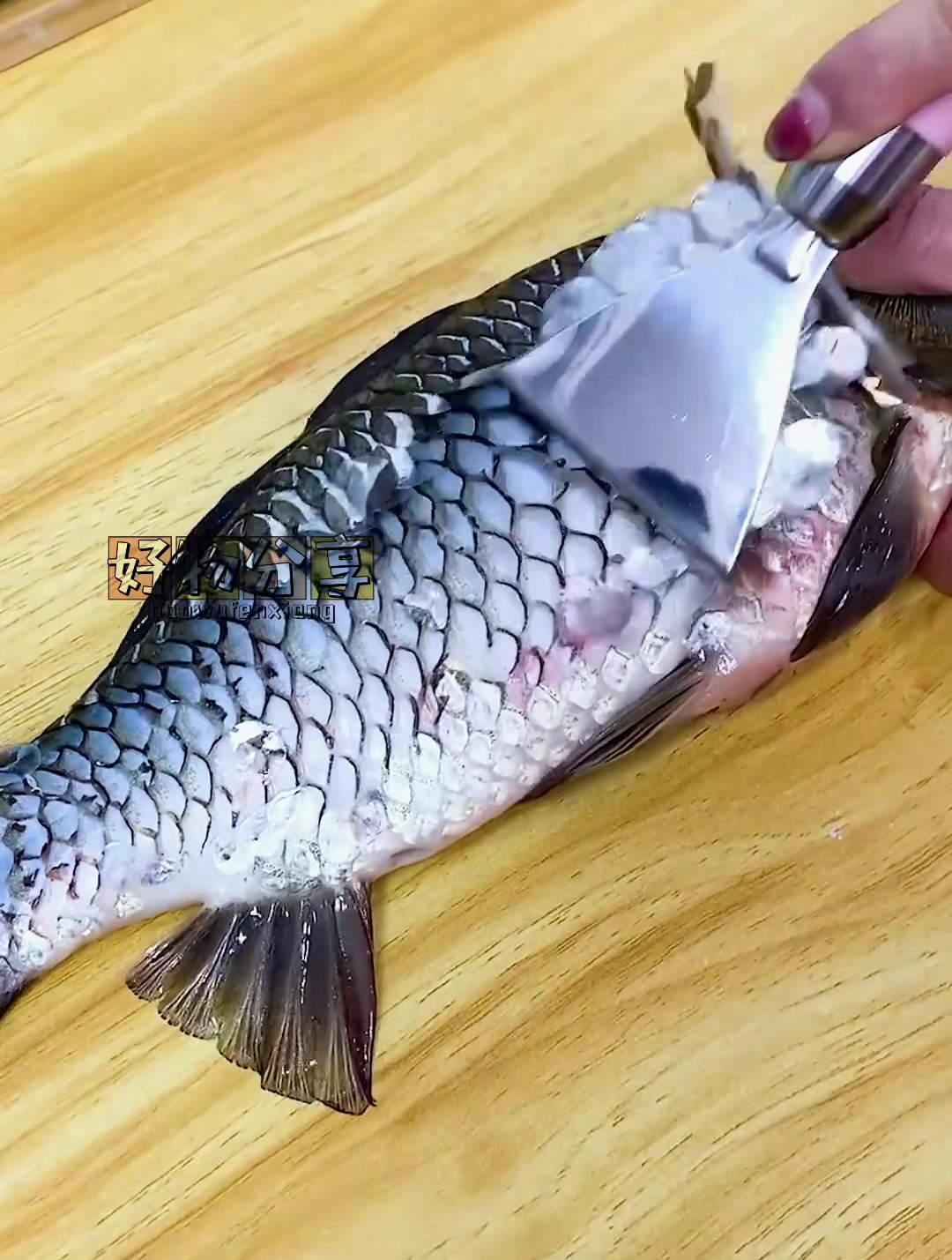 这个鱼鳞刀加厚的设计,去鱼鳞更快